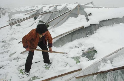 大雪壓垮鋼結構廠(chǎng)房，眾多“二師兄”壯烈犧牲